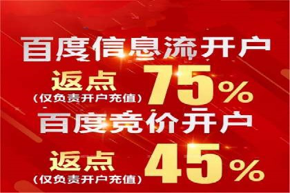 案例分析：百度广告竞价助力电商企业提升销售额